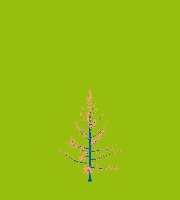 greenshift tree