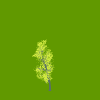 greenshift tree