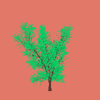 greenshift tree