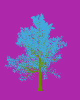 greenshift tree