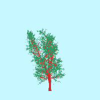 greenshift tree