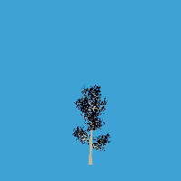 greenshift tree