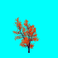 greenshift tree