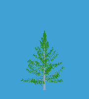 greenshift tree