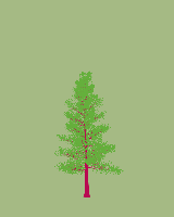 greenshift tree