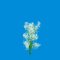 greenshift tree