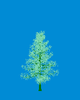 greenshift tree