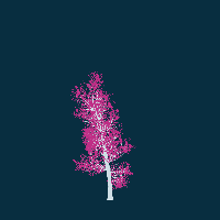 greenshift tree