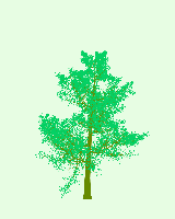 greenshift tree