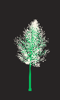 greenshift tree