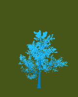 greenshift tree
