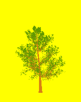 greenshift tree