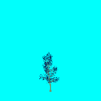 greenshift tree