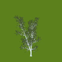 greenshift tree