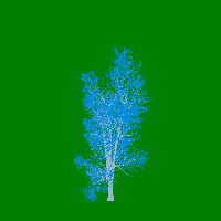 greenshift tree
