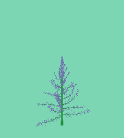 greenshift tree