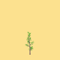 greenshift tree