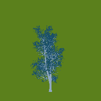 greenshift tree