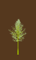 greenshift tree