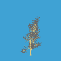 greenshift tree