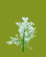 greenshift tree