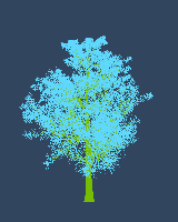 greenshift tree