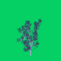 greenshift tree