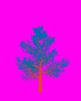 greenshift tree