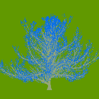 greenshift tree