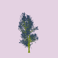 greenshift tree