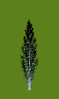 greenshift tree