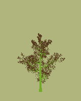 greenshift tree