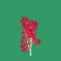 greenshift tree