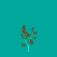 greenshift tree