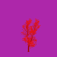 greenshift tree