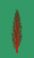 greenshift tree