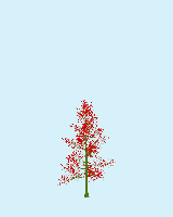 greenshift tree