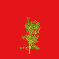 greenshift tree