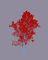 greenshift tree
