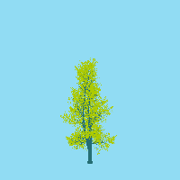 greenshift tree