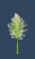 greenshift tree