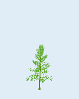 greenshift tree