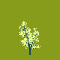greenshift tree