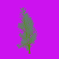 greenshift tree