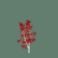 greenshift tree