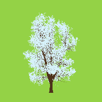 greenshift tree