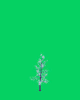 greenshift tree