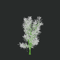 greenshift tree