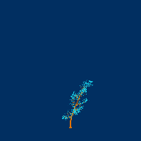 greenshift tree