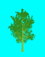 greenshift tree